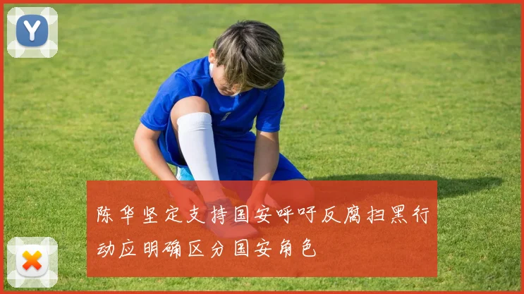 陈华坚定支持国安呼吁反腐扫黑行动应明确区分国安角色