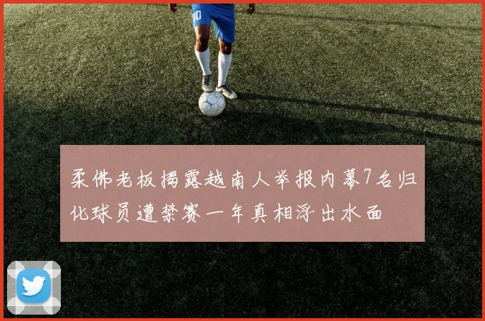 柔佛老板揭露越南人举报内幕7名归化球员遭禁赛一年真相浮出水面