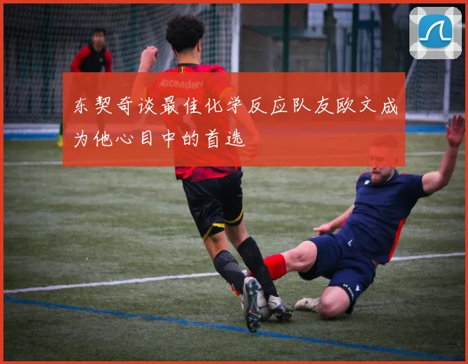 东契奇谈最佳化学反应队友欧文成为他心目中的首选