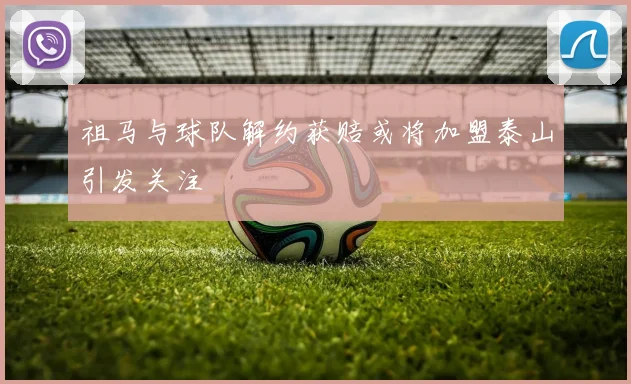 祖马与球队解约获赔或将加盟泰山引发关注