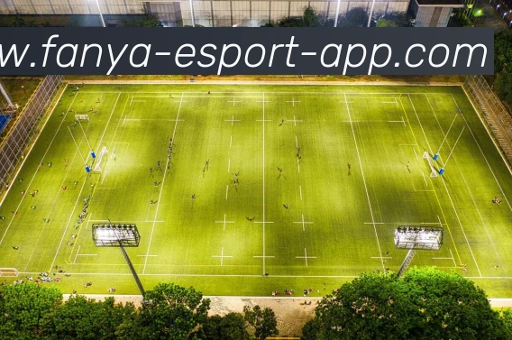 泛亚电竞平台生态图