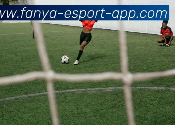 泛亚电竞APP 封面图